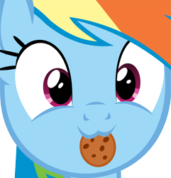 Size: 11060x11464 | Tagged: safe, artist:cyanlightning, character:rainbow dash, .svg available, :3, absurd resolution, catface, close-up, cookie, cute, dashabetes, female, food, looking at you, rainbow dash is best facemaker, simple background, smiling, solo, transparent background, vector