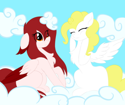 Size: 1024x860 | Tagged: safe, artist:little-sketches, character:surprise, oc, oc:sora, species:pegasus, species:pony, chest fluff, cloud, eye clipping through hair, female, mare