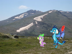 Size: 2592x1944 | Tagged: safe, artist:didgereethebrony, character:princess ember, character:spike, species:dragon, australia, bloodstone scepter, dragons in real life, irl, mount kosciuszko, mountain, photo, vector