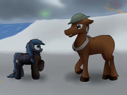 Size: 1280x955 | Tagged: safe, artist:the-furry-railfan, oc, oc only, oc:jean, oc:night strike, species:pegasus, species:pony, fallout equestria, brodie helmet, clothing, ear piercing, earring, fallout equestria: empty quiver, helmet, jacket, jewelry, maple leaf, medic, moose, ocean, outdoors, overcast, piercing, size difference, snow, story, wind chime, yoke