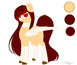 Size: 1024x860 | Tagged: safe, artist:little-sketches, oc, oc only, oc:yeri, species:pegasus, species:pony, colored pupils, colored wings, eye clipping through hair, female, mare, reference sheet, solo