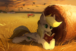 Size: 1280x856 | Tagged: safe, artist:hioshiru, oc, oc only, oc:dandelion blossom, species:bird, species:pegasus, species:pony, book, chromatic aberration, commission, cute, explicit source, female, field, lying down, mare, prone, reading, solo, sunset, tractor, ych result