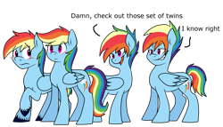 Size: 2857x1633 | Tagged: safe, artist:chub-wub, character:rainbow dash, species:pegasus, species:pony, blushing, dashblitz, duality, female, grin, male, mare, multeity, ponidox, rainbow blitz, rule 63, self ponidox, selfcest, shipping, simple background, smiling, stallion, straight, transparent background, twins, unshorn fetlocks