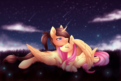 Size: 4500x3000 | Tagged: safe, artist:scarlet-spectrum, character:fluttershy, oc, oc:eternal light, species:alicorn, species:pegasus, species:pony, absurd resolution, alicorn oc, blue eyes, blushing, canon x oc, cloud, eyes closed, female, field, firefly, folded wings, hug, male, mare, night, ponytail, scenery, shipping, shooting star, stallion, stars, straight, winghug