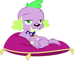 Size: 2275x1861 | Tagged: safe, artist:red4567, character:spike, character:spike (dog), species:dog, episode:pet project, eqg summertime shorts, g4, my little pony: equestria girls, my little pony:equestria girls, collar, lidded eyes, looking at you, male, pillow, simple background, solo, transparent background, vector