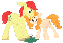 Size: 5421x3752 | Tagged: safe, artist:chub-wub, character:bright mac, character:pear butter, species:pony, ship:brightbutter, episode:the perfect pear, g4, my little pony: friendship is magic, cute, dawwww, female, floppy ears, heart, hnnng, male, pregnant, shipping, smiling, straight, teary eyes