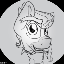 Size: 2000x2000 | Tagged: safe, artist:binkyt11, derpibooru original, character:doctor caballeron, species:earth pony, species:pony, black and white, fisheye lens, grayscale, looking at you, male, monochrome, solo, stallion