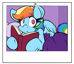 Size: 987x848 | Tagged: safe, artist:bbsartboutique, character:rainbow dash, species:pegasus, species:pony, book, explicit source, female, looking at you, love collector, photo, reading, solo, surprised