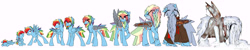 Size: 7500x1500 | Tagged: safe, artist:chub-wub, character:rainbow dash, species:pony, age progression, artificial wings, augmented, baby, baby pony, beard, clothing, colt, elderly, facial hair, gray mane, icicles on beard, impossibly large beard, male, mechanical wing, older, rainbow blitz, robe, rule 63, scar, snow, teenager, wings, younger