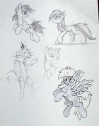 Size: 2107x2658 | Tagged: safe, artist:fajeh, artist:hioshiru, artist:kejifox, artist:setharu, artist:skrapbox, character:derpy hooves, character:roseluck, character:twilight sparkle, sketch, traditional art