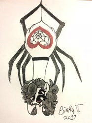 Size: 1584x2114 | Tagged: safe, artist:binkyt11, oc, oc only, oc:izzy bitsy, species:pony, female, hanging, heart, looking at you, monster pony, multiple eyes, original species, simple background, solo, spider web, spiderpony, suspended, traditional art, underhoof, white background