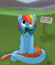 Size: 2190x2584 | Tagged: safe, artist:the-furry-railfan, character:rainbow dash, cute, grass field, lake, looking at you, looking up, monster pony, mountain, mountain range, original species, sign, sitting, tatzldash, tatzlpony, tentacles, this will end in hugs, valley