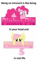 Size: 1324x2108 | Tagged: safe, artist:zacatron94, edit, character:fluttershy, character:pinkie pie, banner, introversion, public introvert, simple background, white background