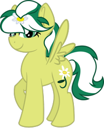 Size: 974x1196 | Tagged: safe, artist:binkyt11, derpibooru original, oc, oc only, oc:marguerite daisy, species:pegasus, species:pony, 2018 community collab, derpibooru community collaboration, female, looking at you, mare, simple background, solo, transparent background