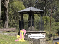 Size: 1210x905 | Tagged: safe, artist:didgereethebrony, character:fluttershy, australia, bad joke, blue mountains, dialogue, explorers tree, fluttertree, i'd like to be a tree, irl, memorial, monument, photo, ponies in real life, solo, speech bubble, tree, tree stump, unamused, unfunny