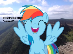 Size: 1024x763 | Tagged: safe, artist:didgereethebrony, character:rainbow dash, species:pony, didgeree collection, irl, kanangra boyd national park, mlp in australia, photo, photobomb, ponies in real life, solo, squee