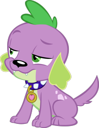 Size: 9174x11803 | Tagged: safe, artist:red4567, character:spike, character:spike (dog), species:dog, equestria girls:forgotten friendship, g4, my little pony: equestria girls, my little pony:equestria girls, absurd resolution, collar, male, paws, simple background, solo, spike is not amused, spike's dog collar, transparent background, unamused, vector