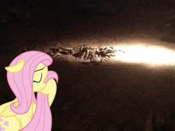 Size: 1024x765 | Tagged: safe, artist:didgereethebrony, character:fluttershy, species:pegasus, species:pony, bone, cave, crying, female, jenolan caves, mare, mlp in australia, skeleton, solo, wombat