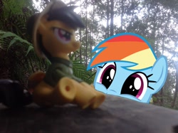 Size: 1024x765 | Tagged: safe, artist:didgereethebrony, character:daring do, character:rainbow dash, bench, blue mountains, cute, dashabetes, fangirl, figure, figurine, happy, irl, katoomba, mlp in australia, obsessed, obsession, photo, photobomb, ponies around the world, ponies in real life, smiling, squee, toy