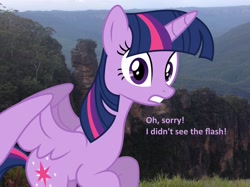 Size: 1024x764 | Tagged: safe, artist:didgereethebrony, character:twilight sparkle, character:twilight sparkle (alicorn), species:alicorn, species:pony, accident, australia, irl, katoomba, mlp in australia, photo, photobomb, ponies in real life, solo, three sisters, whoops