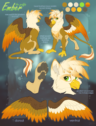 Size: 3103x4088 | Tagged: safe, artist:hioshiru, oc, oc only, oc:ember burd, species:griffon, beak, claws, colored wings, ear fluff, eared griffon, gradient wings, griffon oc, high res, multicolored wings, paws, reference sheet, sitting, spread wings, standing, talons, text, underpaw, wings