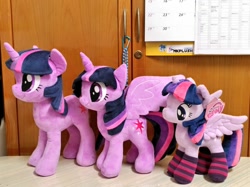 Size: 1024x767 | Tagged: safe, artist:nekokevin, character:twilight sparkle, character:twilight sparkle (alicorn), character:twilight sparkle (unicorn), species:alicorn, species:pony, species:unicorn, 4de, calendar, clothing, female, irl, mare, multeity, photo, plushie, ponidox, self ponidox, size difference, smiling, socks, sparkle sparkle sparkle, spread wings, starlight's little twibird, striped socks, triality, wings