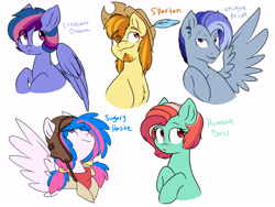 Size: 6000x4500 | Tagged: safe, artist:chub-wub, oc, oc only, parent:applejack, parent:fluttershy, parent:pinkie pie, parent:rainbow dash, parent:rarity, parent:twilight sparkle, parents:appledash, parents:flutterdash, parents:pinkiedash, parents:raridash, parents:twidash, species:earth pony, species:pegasus, species:pony, absurd resolution, female, magical lesbian spawn, male, mare, next generation, offspring, simple background, stallion, white background