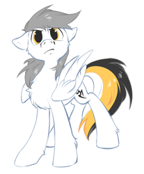Size: 668x805 | Tagged: safe, artist:hioshiru, oc, oc only, oc:kej, species:pegasus, species:pony, chest fluff, floppy ears, male, simple background, solo, white background