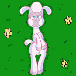 Size: 576x576 | Tagged: safe, artist:pembroke, community related, character:pom lamb, species:sheep, them's fightin' herds, cloven hooves, female, lamb, lidded eyes, looking at you, lying down, missing accessory, on back, sleepy, solo