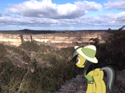 Size: 1024x765 | Tagged: safe, artist:didgereethebrony, character:daring do, australia, blue mountains, canyon, cliff, didgeree collection, female, kanangra boyd national park, kanangra walls, mlp in australia, solo, valley