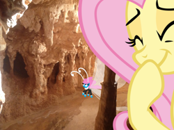 Size: 1024x765 | Tagged: safe, artist:didgereethebrony, character:fluttershy, character:seabreeze, species:breezies, cave, chamber, didgeree collection, female, giggling, jenolan caves, male, mlp in australia, pillar, stalactite, tropical ponies