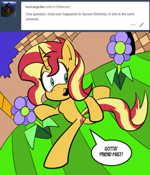 Size: 576x670 | Tagged: safe, artist:pembroke, character:sonic the hedgehog, character:sunset shimmer, species:pony, species:unicorn, bipedal, crossover, female, mare, sonic the hedgehog (series), thiklestia