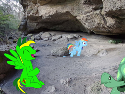 Size: 1024x768 | Tagged: safe, artist:didgereethebrony, character:rainbow dash, character:tank, oc, oc:didgeree, species:pony, episode:may the best pet win, g4, my little pony: friendship is magic, cave, irl, kanangra boyd national park, laughing, mlp in australia, photo, ponies in real life, rock, smiling, smirk, stuck