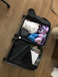 Size: 1536x2048 | Tagged: safe, artist:nekokevin, character:starlight glimmer, species:pony, species:unicorn, series:nekokevin's glimmy, clothing, female, irl, luggage, mare, photo, plushie, smiling, socks, solo, striped socks, suitcase