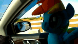 Size: 1280x720 | Tagged: safe, artist:nekokevin, character:rainbow dash, species:pegasus, species:pony, animated, car, female, irl, mare, photo, plushie, smiling, solo, sound, webm