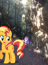 Size: 1024x1371 | Tagged: safe, artist:didgereethebrony, character:starlight glimmer, character:sunset shimmer, species:pony, blue mountains, cutie mark, didgeree collection, irl, megalong valley, mlp in australia, photo, ponies in real life, tree, valley, waving