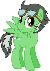 Size: 3531x4970 | Tagged: safe, artist:cyanlightning, oc, oc only, oc:trip away, species:pegasus, species:pony, 2019 community collab, derpibooru community collaboration, .svg available, absurd resolution, chest fluff, ear fluff, goggles, male, simple background, solo, spread wings, stallion, transparent background, vector, wings