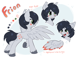 Size: 1280x956 | Tagged: safe, artist:hioshiru, oc, oc only, oc:frion, species:pegasus, species:pony, colored wings, colored wingtips, face markings, female, mare, reference sheet