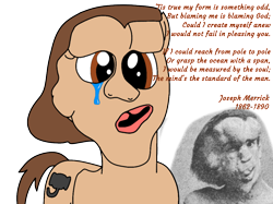 Size: 1024x765 | Tagged: safe, artist:didgereethebrony, species:pony, crying, deformed, deformity, elephant man, joseph merrick, poem, ponified, solo, tears of pain