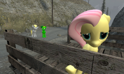 Size: 1076x645 | Tagged: safe, artist:didgereethebrony, character:derpy hooves, character:fluttershy, oc, oc:didgeree, species:pony, 3d, bridge, gmod, implied shipping, sad