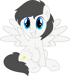 Size: 4882x5307 | Tagged: safe, artist:cyanlightning, oc, oc only, oc:wing sparkle, species:pegasus, species:pony, 2019 community collab, derpibooru community collaboration, .svg available, absurd resolution, ear fluff, male, raised hoof, simple background, solo, spread wings, stallion, transparent background, vector, wings