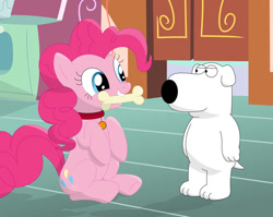 Size: 1001x798 | Tagged: safe, artist:porygon2z, character:pinkie pie, species:pony, behaving like a dog, bone, brian griffin, cute, diapinkes, family guy, implied pet play, pet play, silly, silly pony