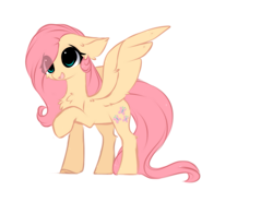 Size: 1345x996 | Tagged: safe, artist:little-sketches, character:fluttershy, species:pegasus, species:pony, cheek fluff, chest fluff, cute, ear fluff, eye clipping through hair, female, floppy ears, fluffy, hair over one eye, open mouth, raised hoof, shoulder fluff, shyabetes, simple background, smiling, solo, spread wings, standing, three quarter view, white background, wing fluff, wings