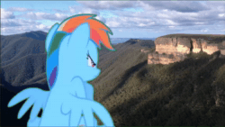 Size: 1920x1080 | Tagged: safe, artist:didgereethebrony, derpibooru original, character:rainbow dash, species:pony, angry, animated, cliff, irl, kanangra boyd national park, mlp in australia, no sound, photo, ponies in real life, solo, valley, webm