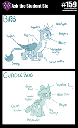 Size: 800x1319 | Tagged: safe, artist:sintakhra, character:gallus, character:ocellus, species:changeling, species:griffon, species:reformed changeling, tumblr:studentsix, anatomy, anatomy guide, birb, cuddlebug, female, male, monochrome, tumblr