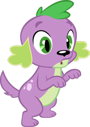 Size: 2812x3957 | Tagged: safe, alternate version, artist:red4567, character:spike, character:spike (dog), species:dog, episode:reboxing with spike!, g4, my little pony: equestria girls, my little pony:equestria girls, spoiler:eqg series (season 2), male, missing accessory, simple background, solo, transparent background, vector