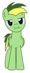 Size: 657x1599 | Tagged: safe, artist:didgereethebrony, oc, oc only, oc:didgeree, species:pegasus, species:pony, blue eyes, colored lineart, folded wings, frown, green coat, lidded eyes, looking at you, male, reupload, simple background, solo, spiky mane, spiky tail, stallion, standing, transparent background, two toned mane, two toned tail, unamused, updated, updated design, vector, wings