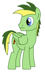 Size: 958x1525 | Tagged: safe, artist:didgereethebrony, oc, oc:didgeree, species:pegasus, species:pony, blue eyes, cutie mark, reupload, simple background, solo, transparent background, updated, updated design
