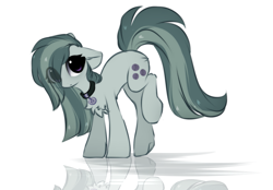 Size: 1343x936 | Tagged: safe, artist:little-sketches, character:marble pie, species:earth pony, species:pony, butt fluff, chest fluff, collar, cute, dog tags, eye clipping through hair, female, floppy ears, looking at you, mare, raised leg, reflection, simple background, solo, white background