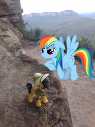 Size: 1280x1714 | Tagged: safe, artist:didgereethebrony, character:daring do, character:rainbow dash, species:pony, australia, blue mountains, cliff, cutie mark, faec, fangirl, figurine, irl, katoomba, merchandise, mlp in australia, photo, ponies in real life, pose, smug, smugdash, toy, valley